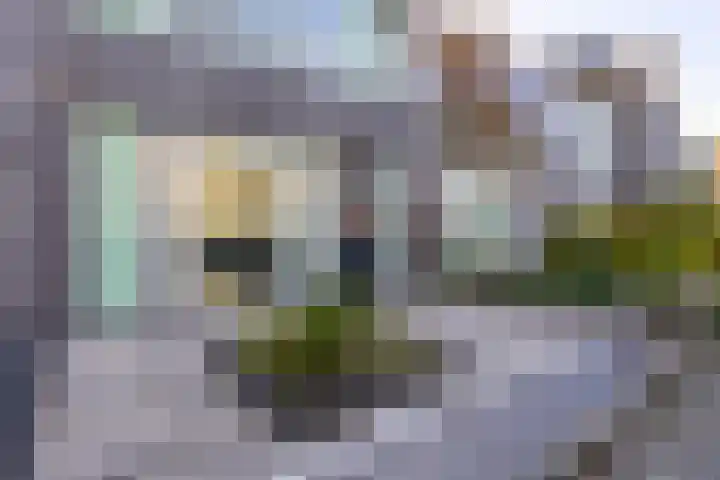 Donaulaan 8 Purmerend thumbnail 46