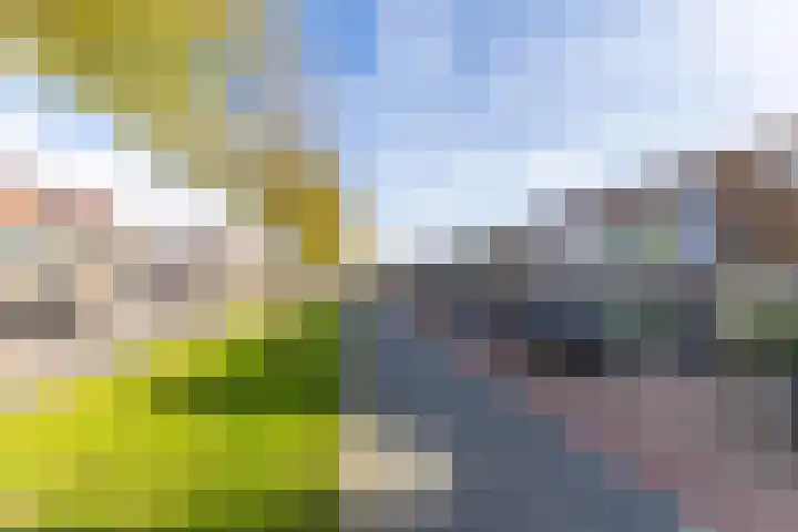 Donaulaan 8 Purmerend thumbnail 48