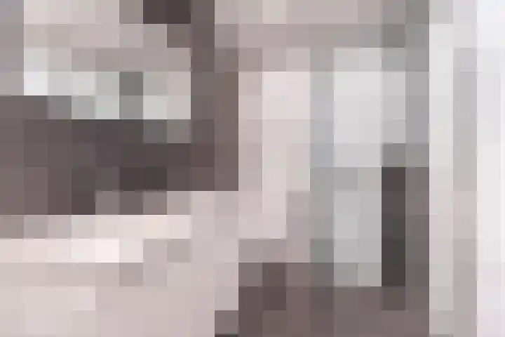 Donaulaan 8 Purmerend thumbnail 5