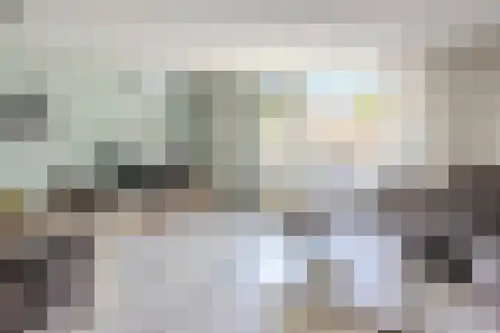 Donaulaan 8 Spijkenisse thumbnail 10