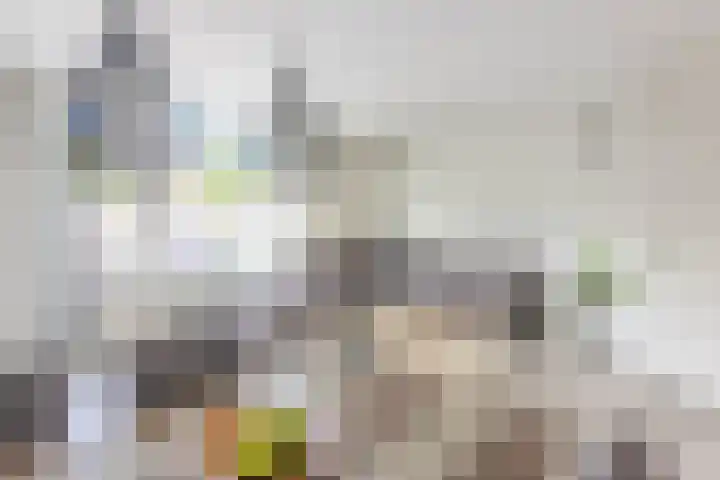 Donaulaan 8 Spijkenisse thumbnail 11
