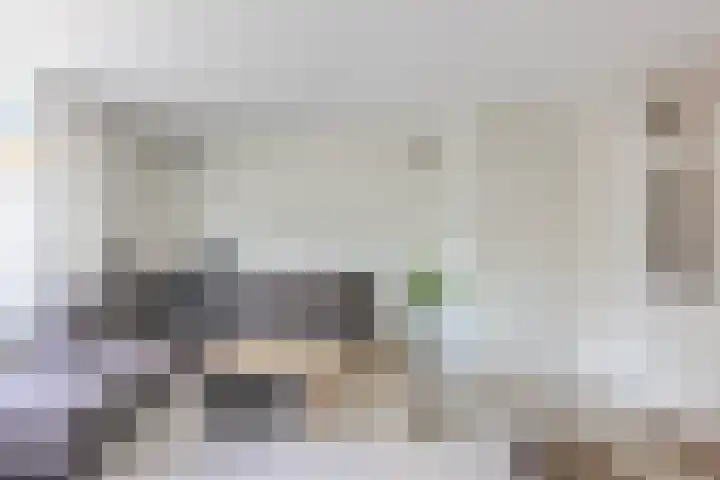 Donaulaan 8 Spijkenisse thumbnail 12