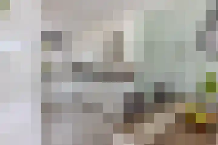 Donaulaan 8 Spijkenisse thumbnail 13