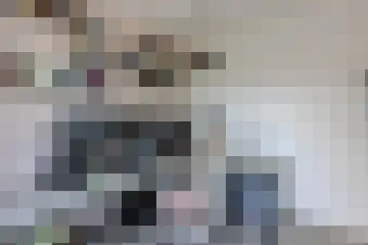 Donaulaan 8 Spijkenisse thumbnail 20