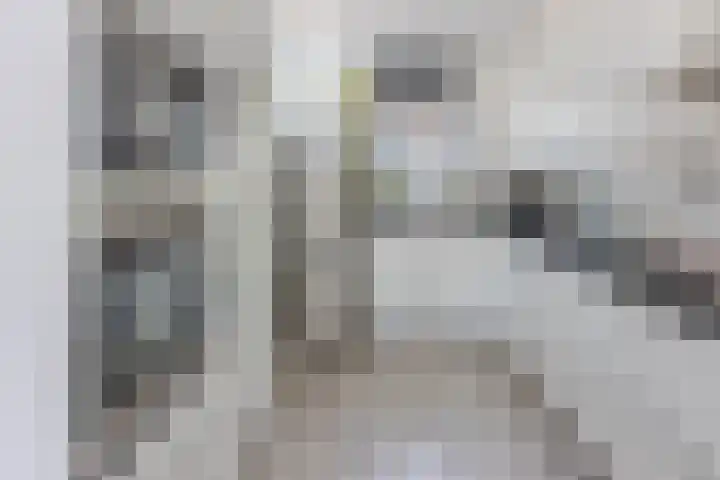 Donaulaan 8 Spijkenisse thumbnail 4
