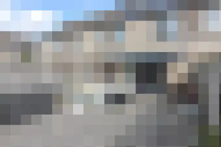 Donaulaan 8 Spijkenisse thumbnail 5