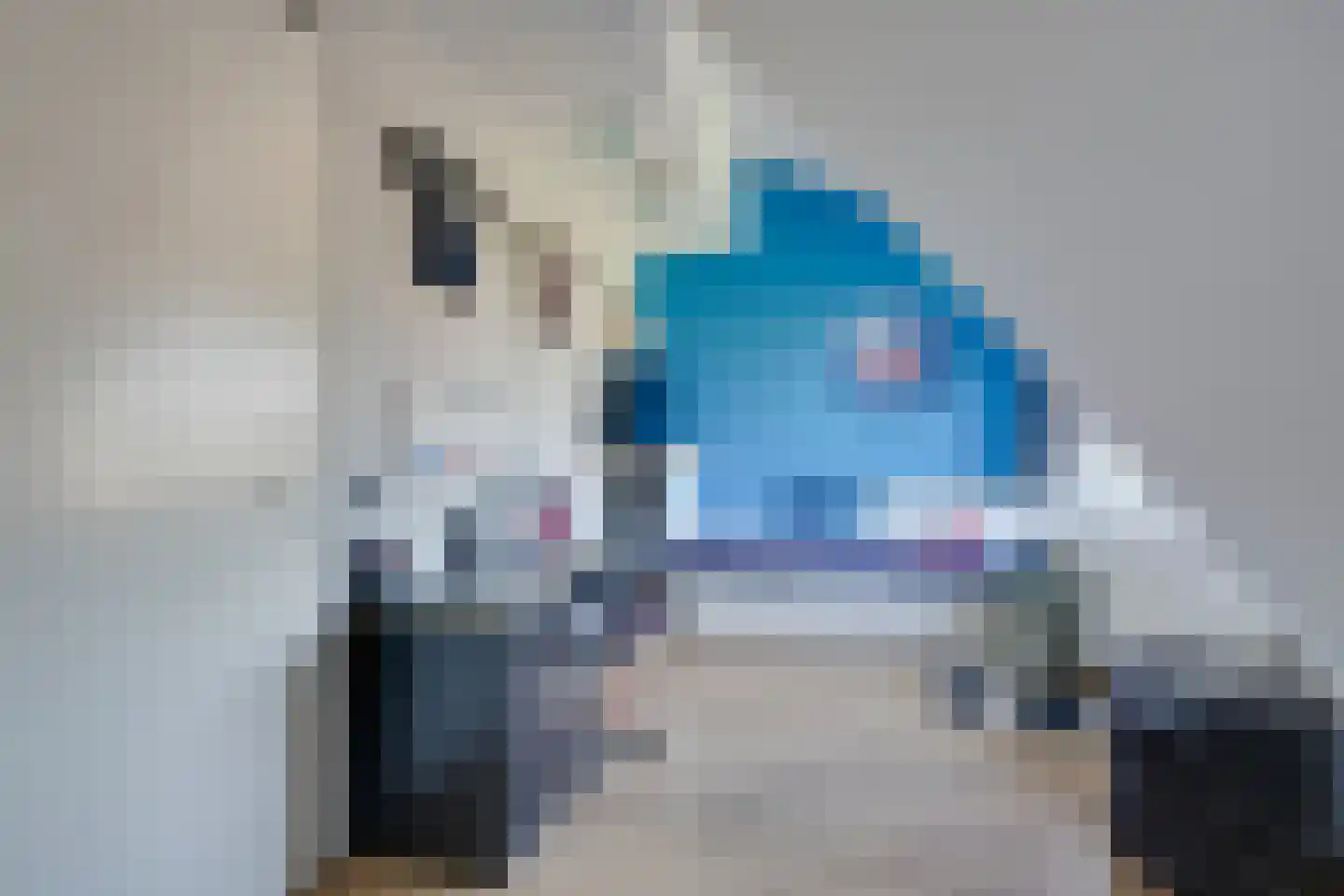 Donaulaan 88 Purmerend thumbnail 45