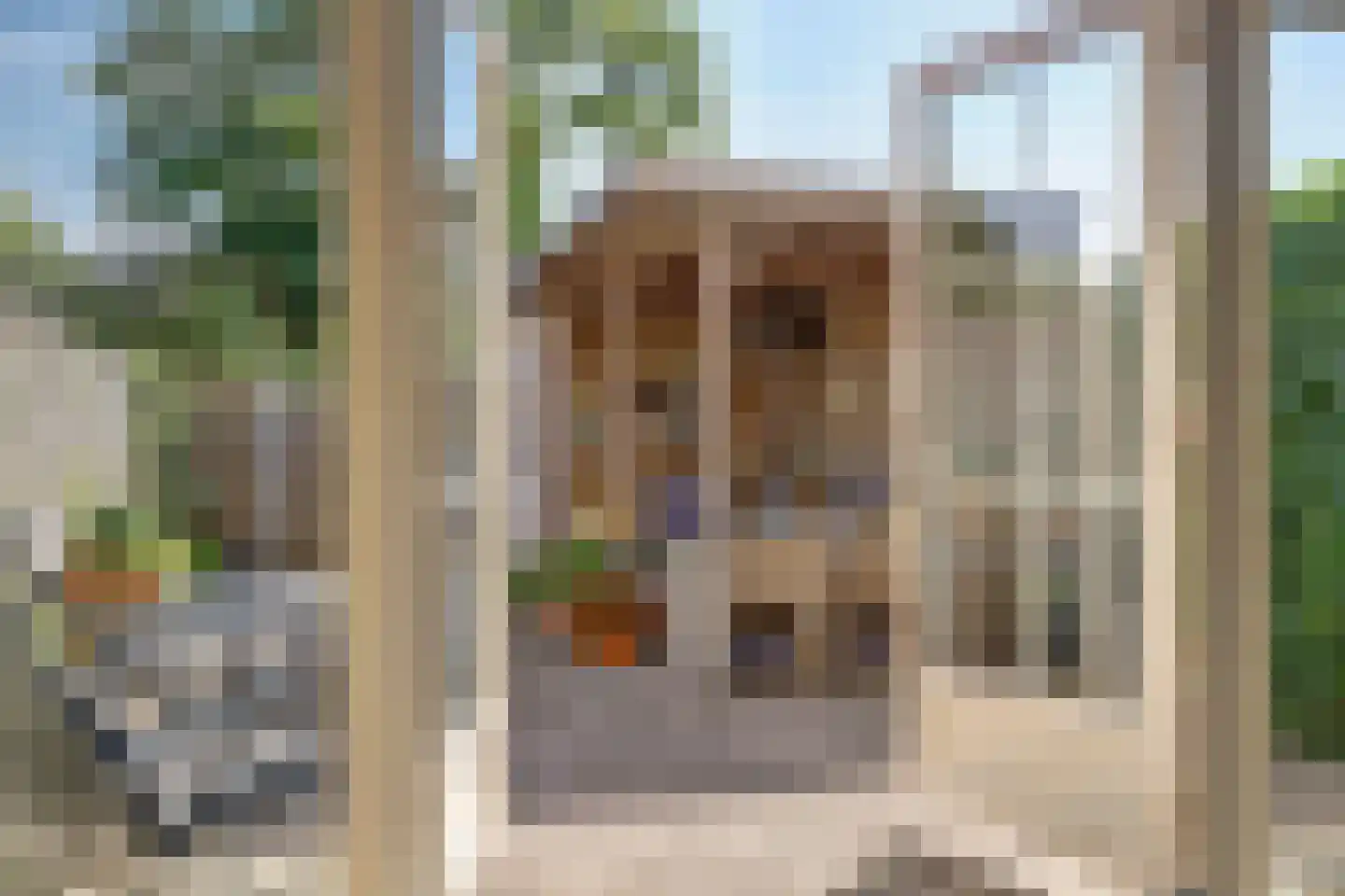 Donaulaan 98 Spijkenisse thumbnail 11