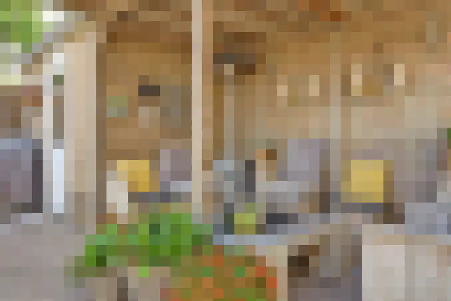 Donaulaan 98 Spijkenisse thumbnail 13