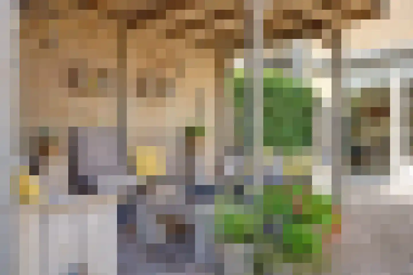 Donaulaan 98 Spijkenisse thumbnail 14