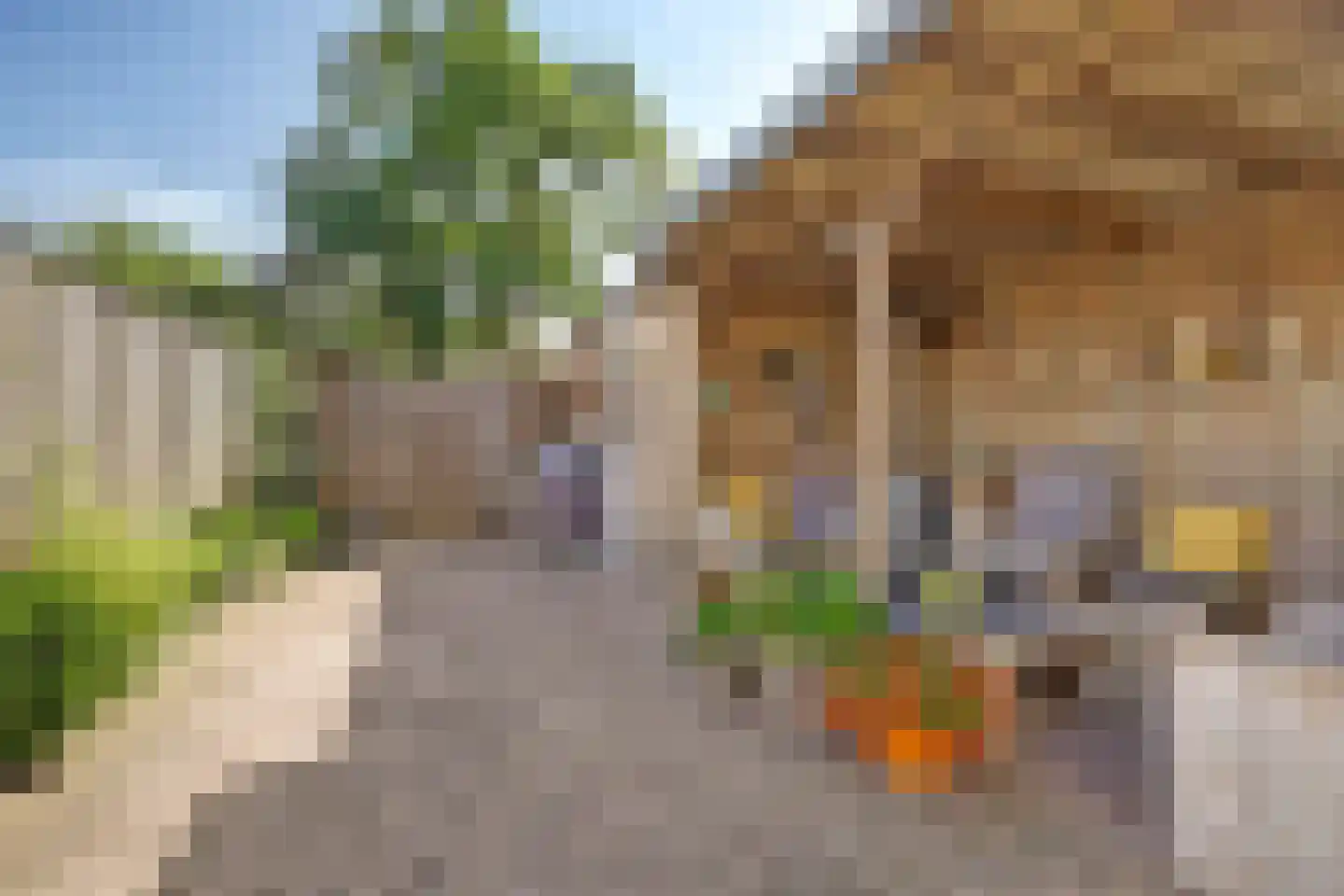 Donaulaan 98 Spijkenisse thumbnail 15