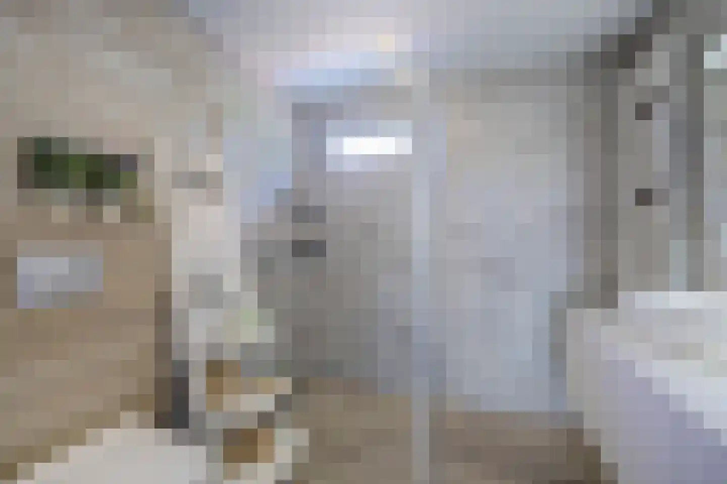 Donaulaan 98 Spijkenisse thumbnail 18