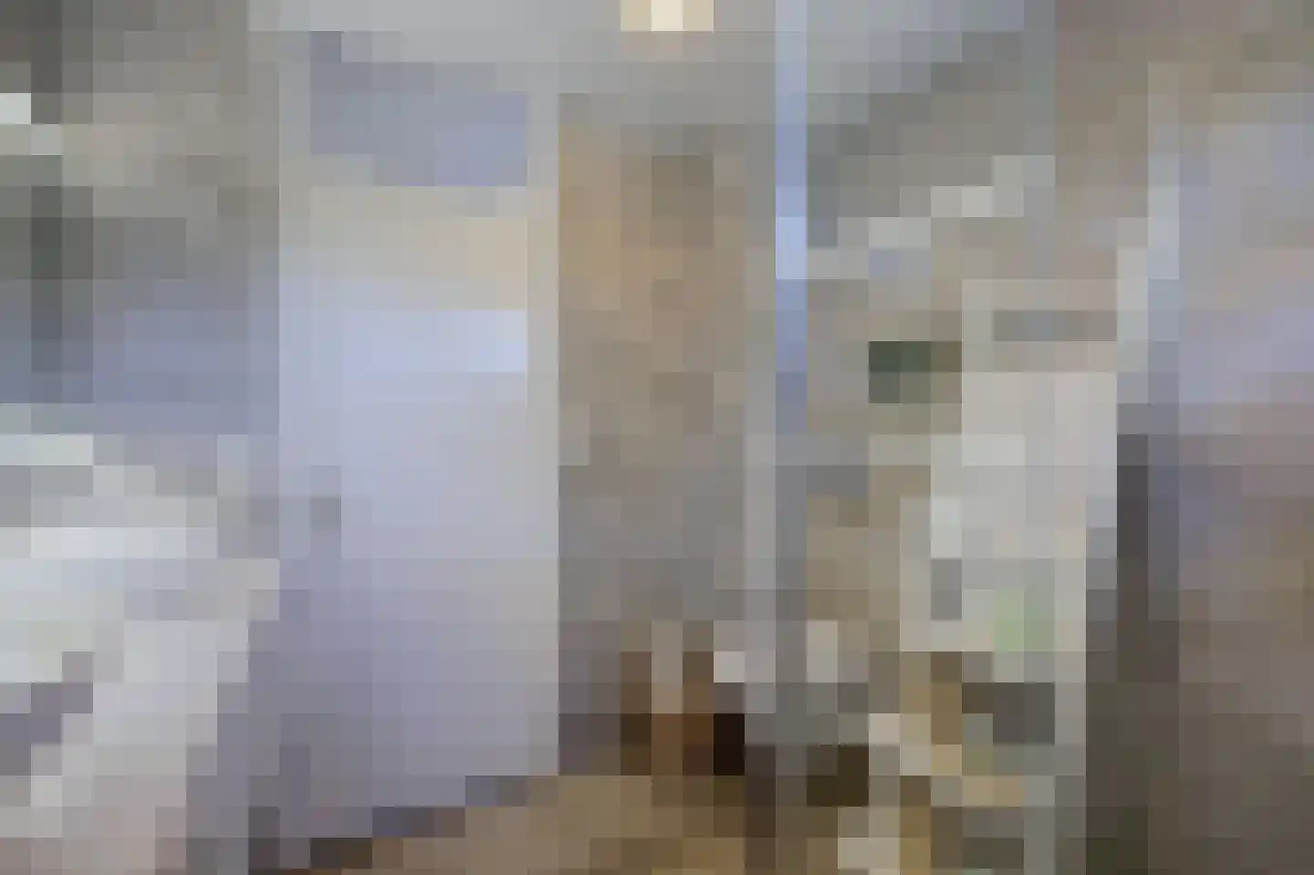 Donaulaan 98 Spijkenisse thumbnail 19