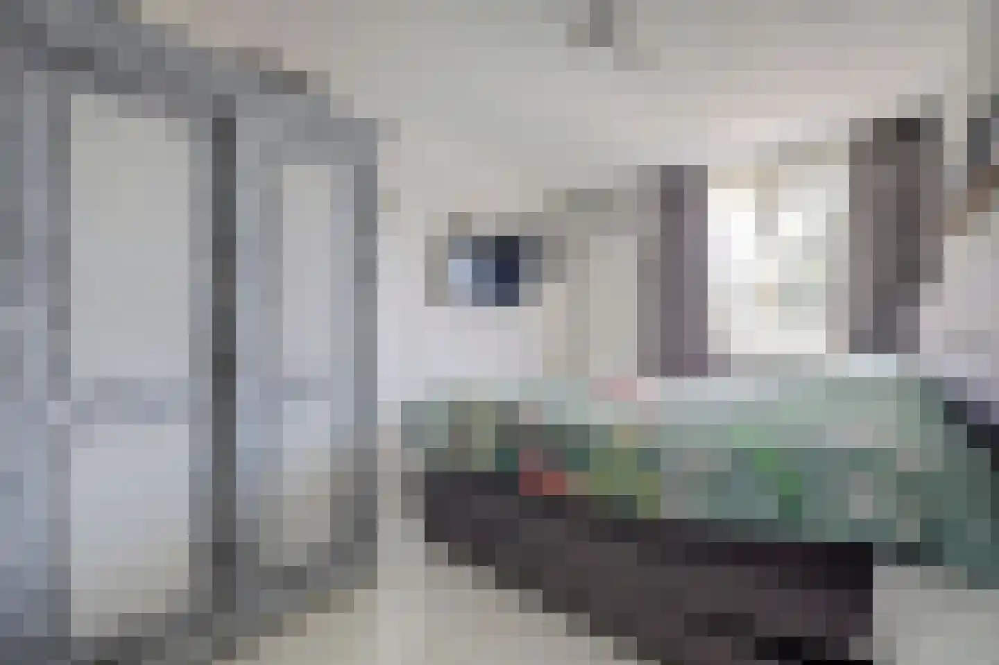 Donaulaan 98 Spijkenisse thumbnail 22