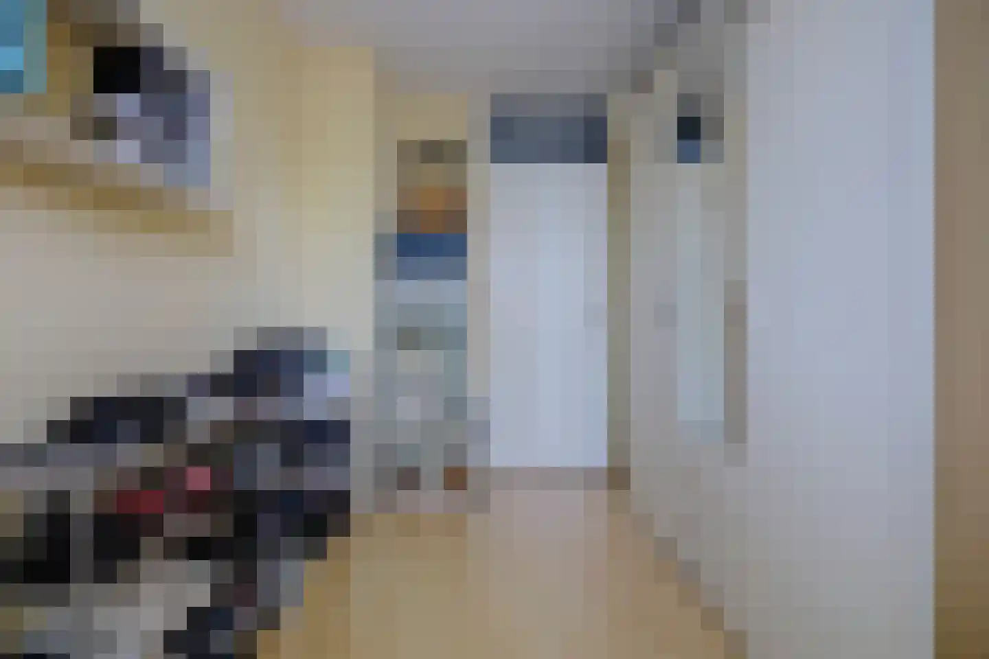 Donaulaan 98 Spijkenisse thumbnail 27