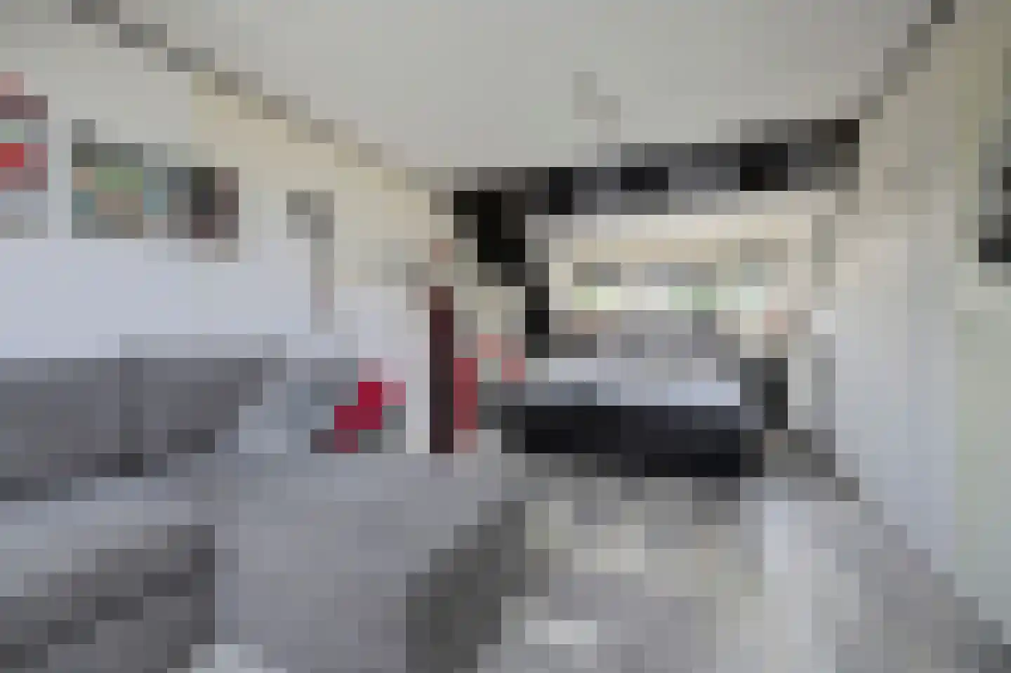 Donaulaan 98 Spijkenisse thumbnail 29