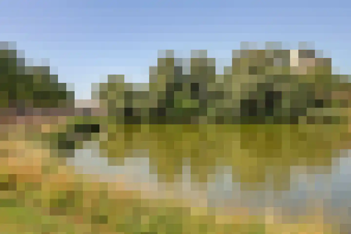 Donaulaan 98 Spijkenisse thumbnail 36