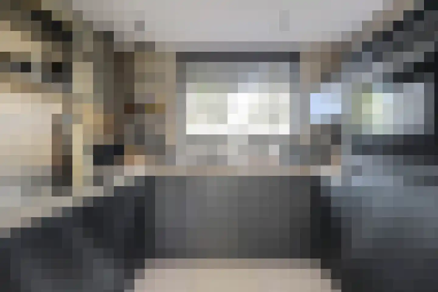 Donaulaan 98 Spijkenisse thumbnail 6