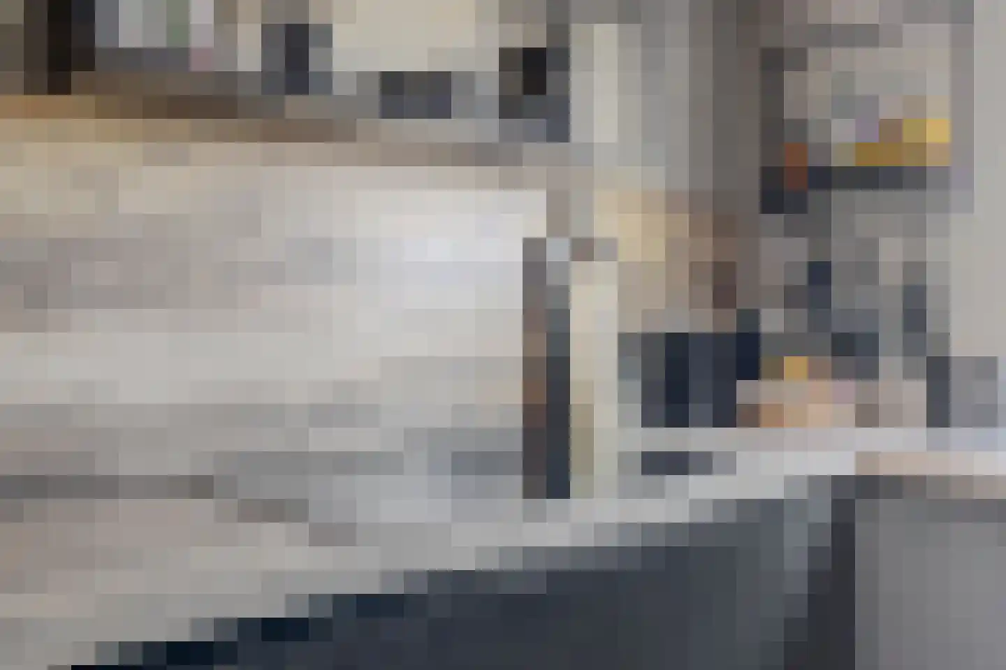 Donaulaan 98 Spijkenisse thumbnail 7