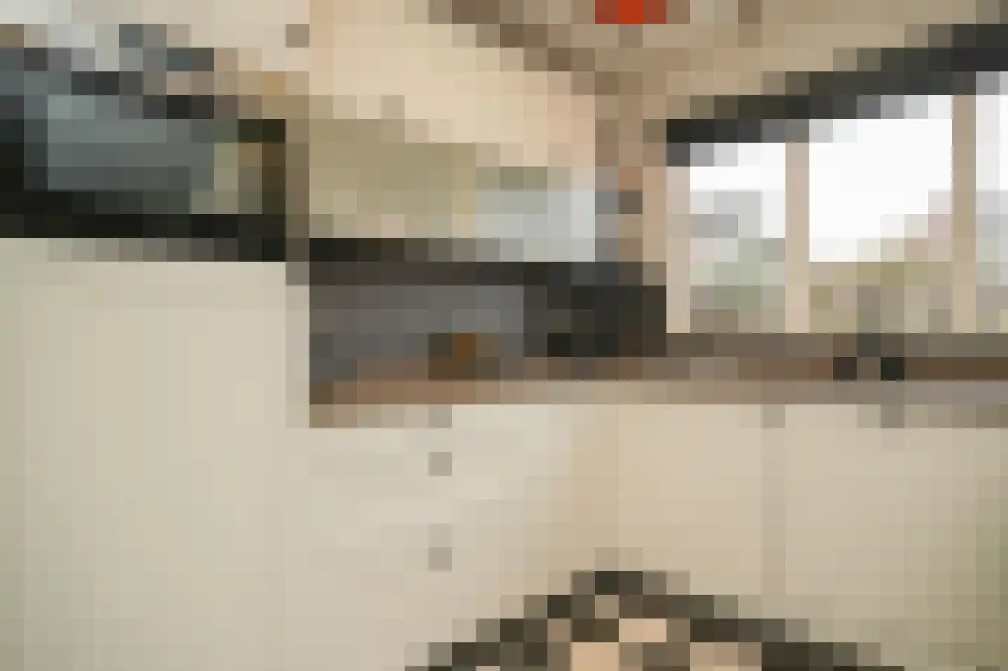 Donauring 1 Drunen thumbnail 11
