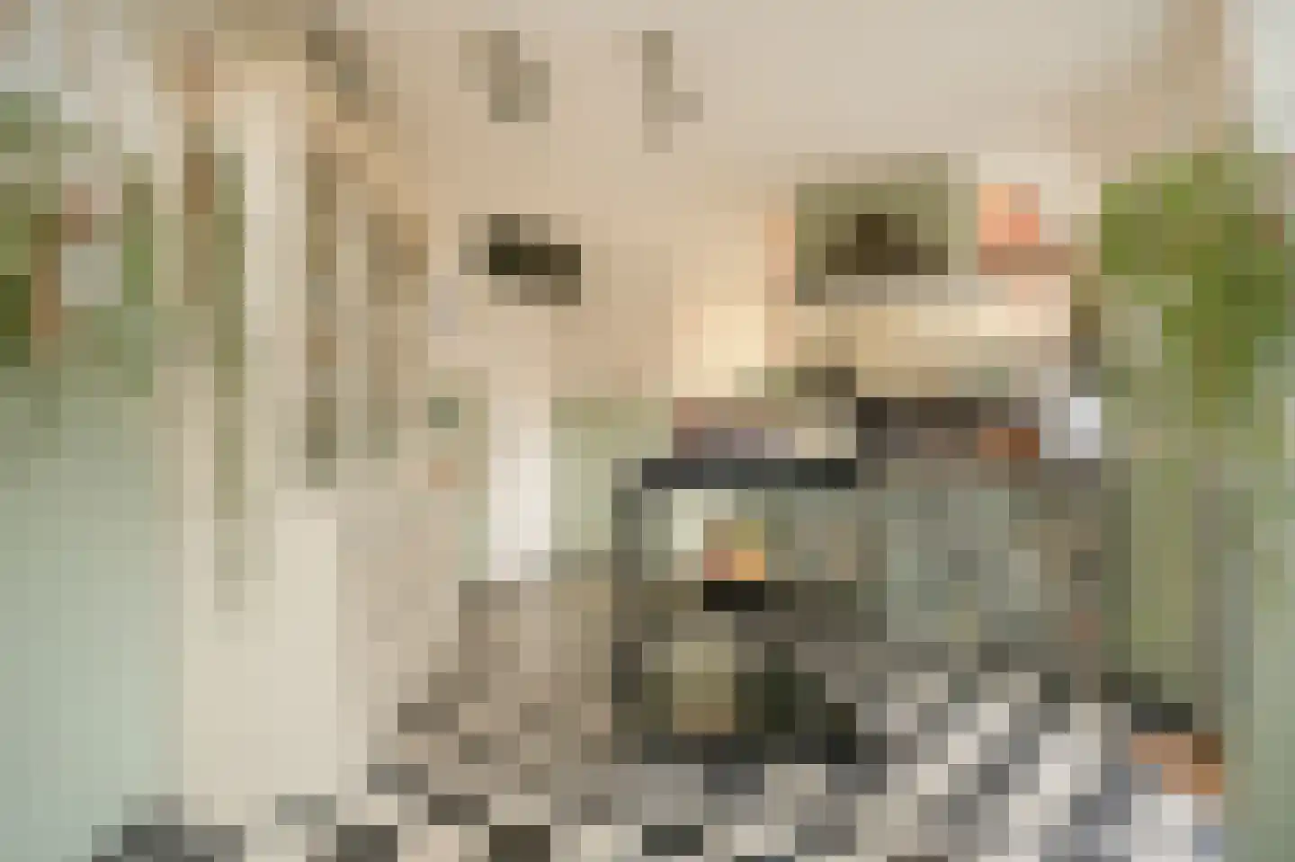 Donauring 1 Drunen thumbnail 12