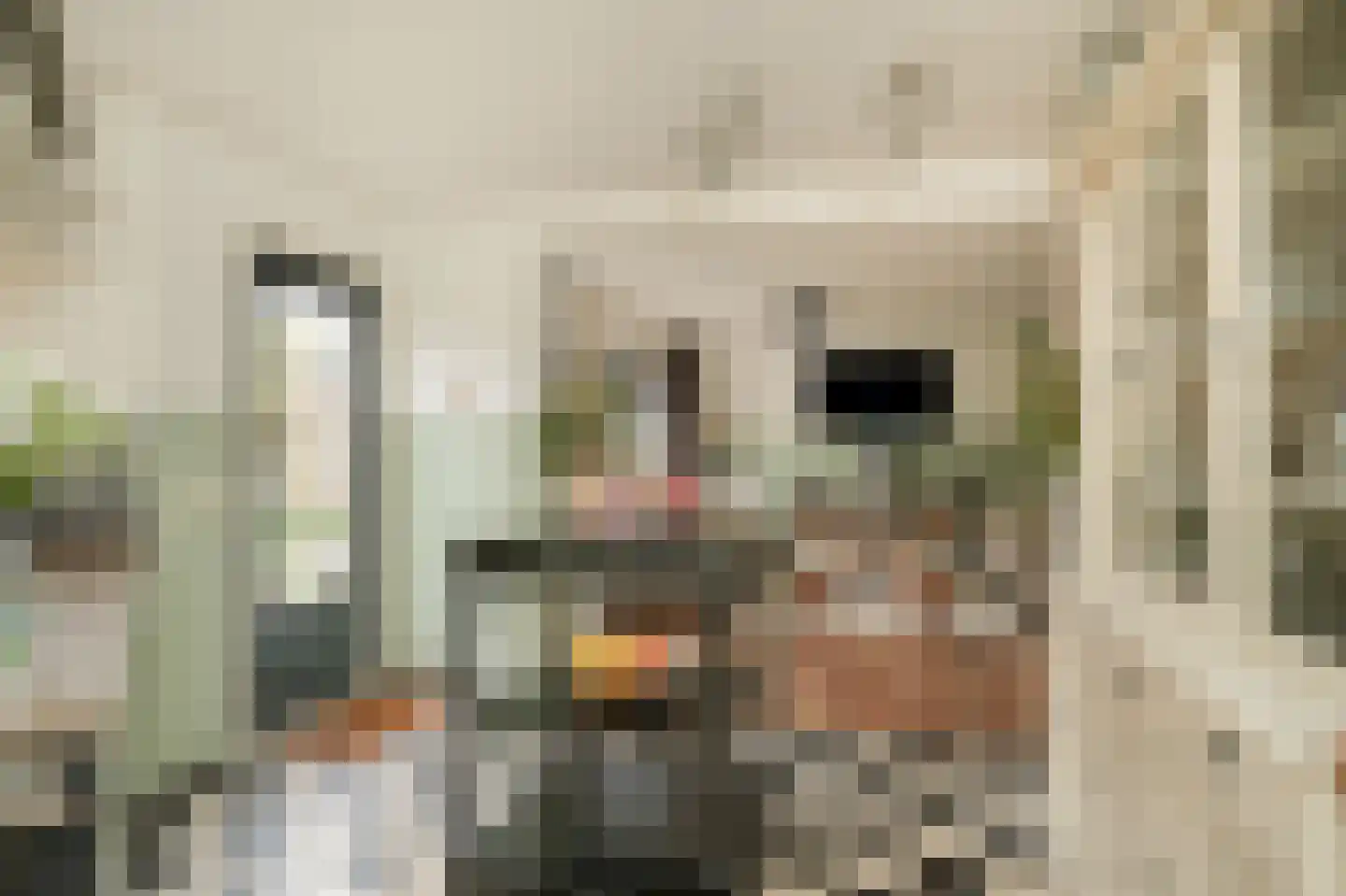 Donauring 1 Drunen thumbnail 13