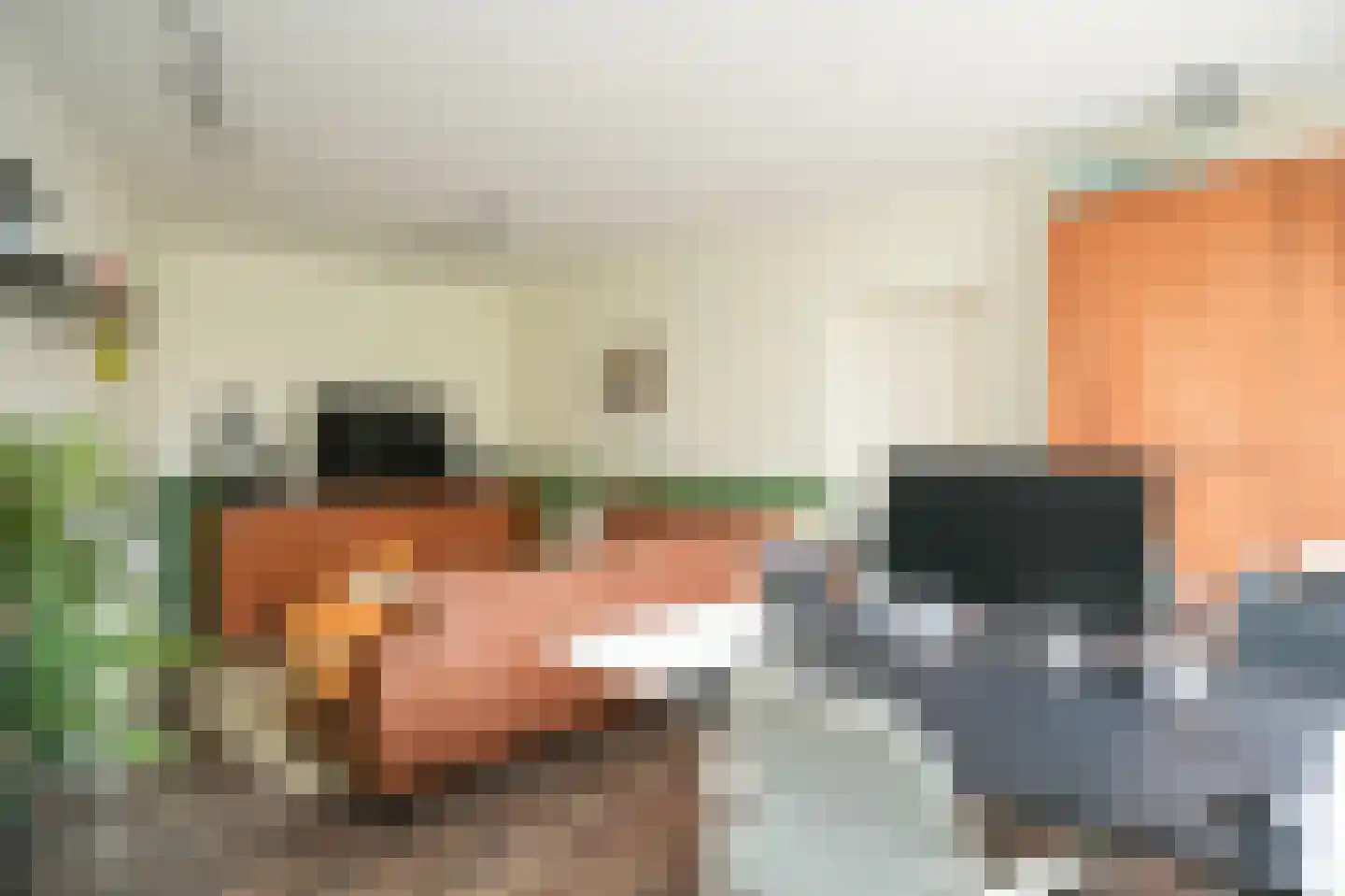 Donauring 1 Drunen thumbnail 16