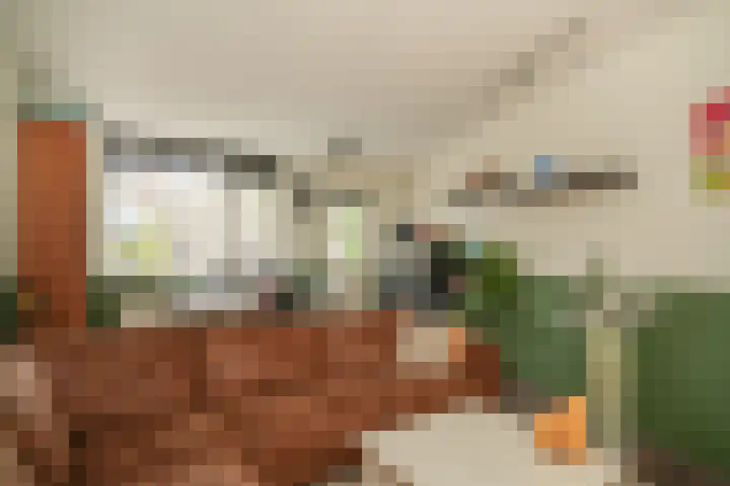 Donauring 1 Drunen thumbnail 17