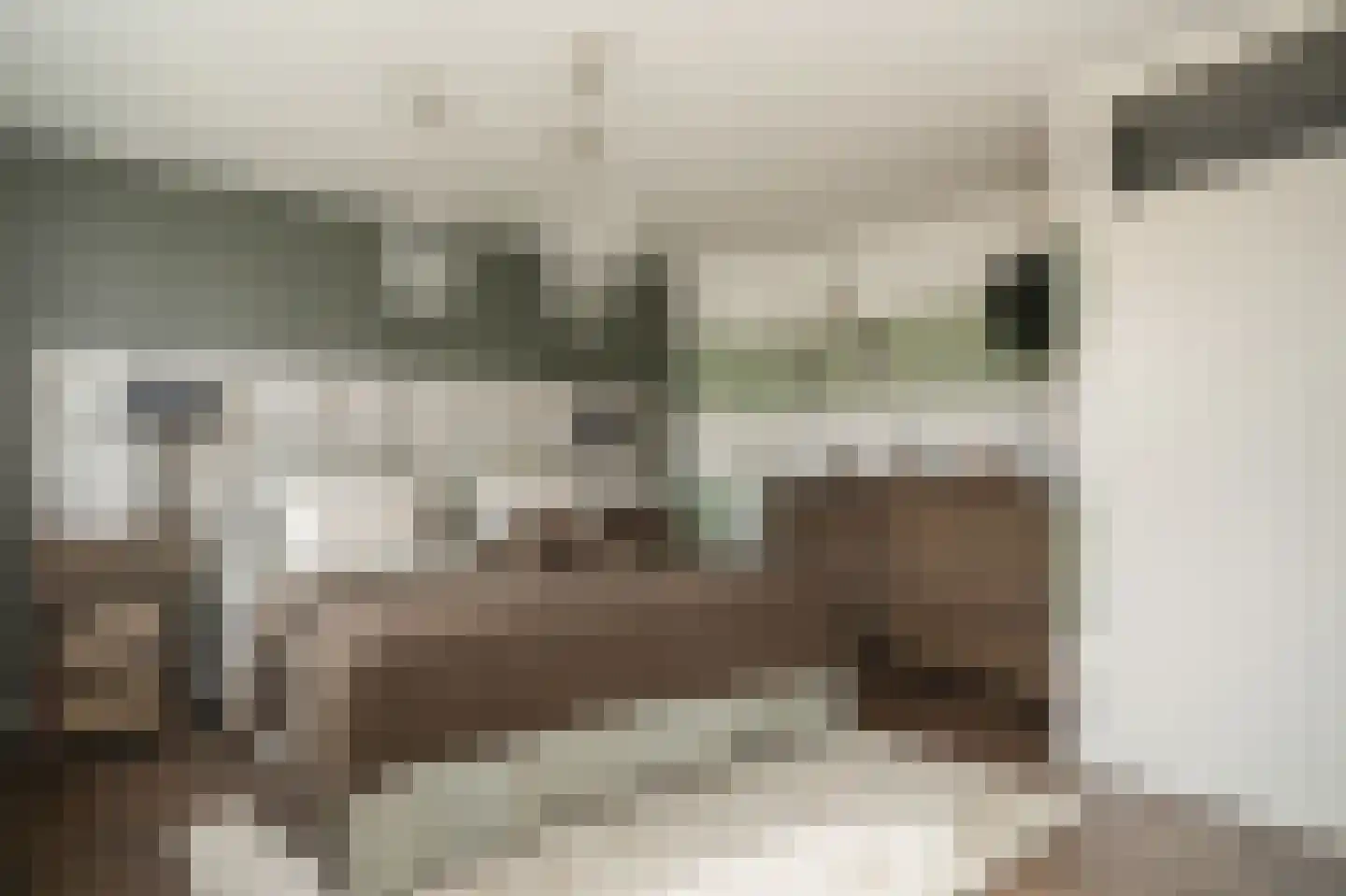 Donauring 1 Drunen thumbnail 20