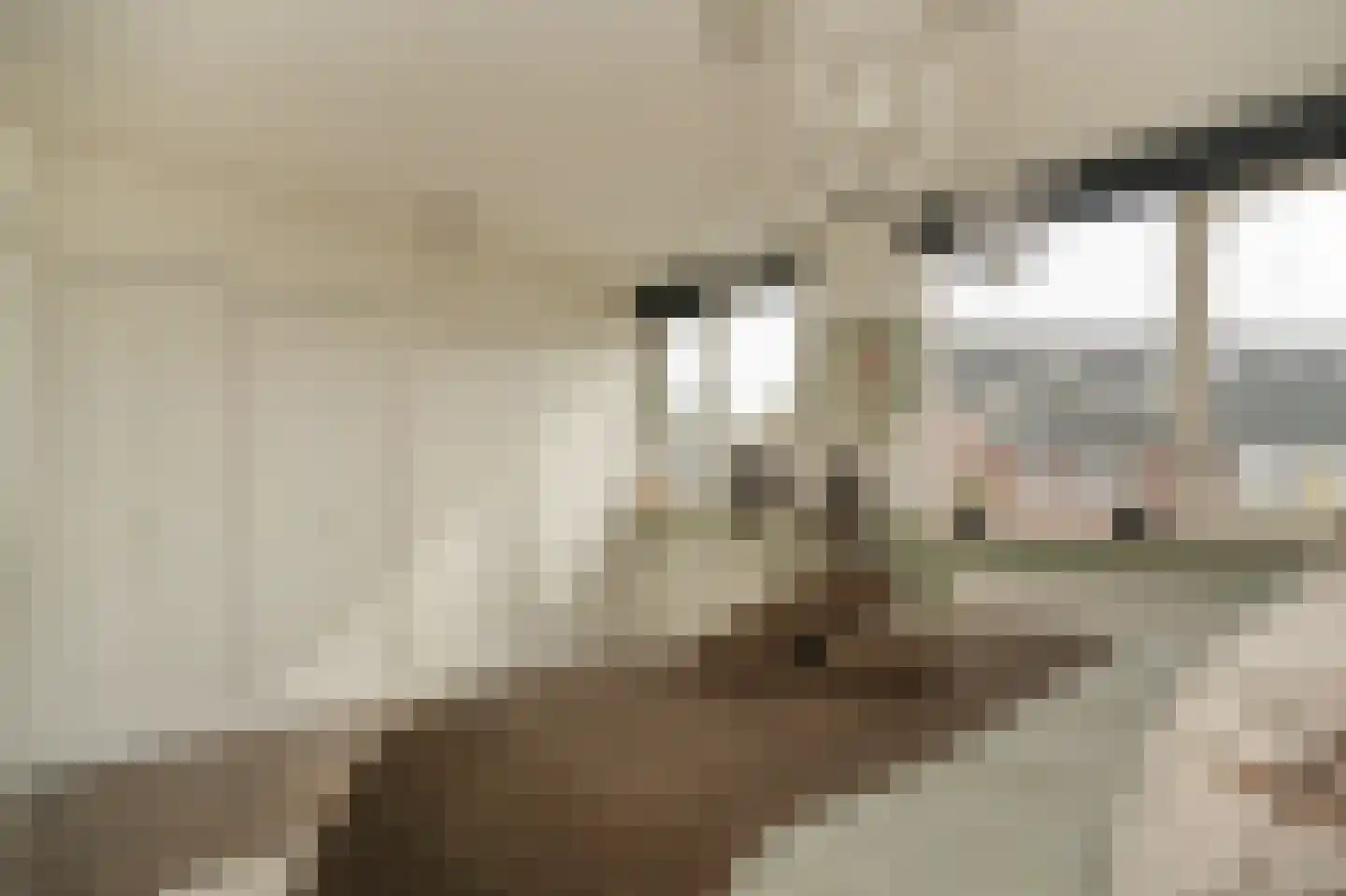 Donauring 1 Drunen thumbnail 21