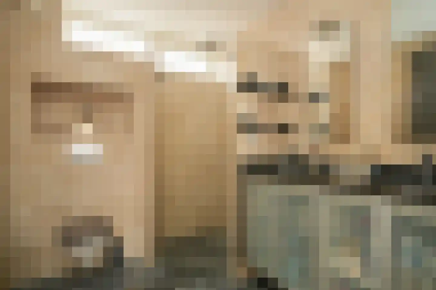 Donauring 1 Drunen thumbnail 22