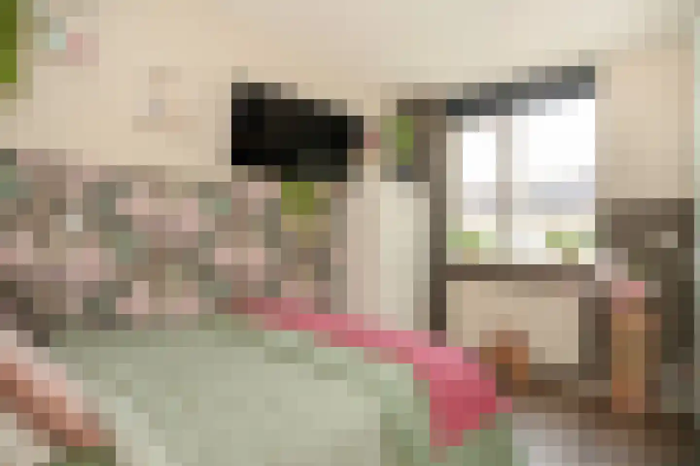 Donauring 1 Drunen thumbnail 24