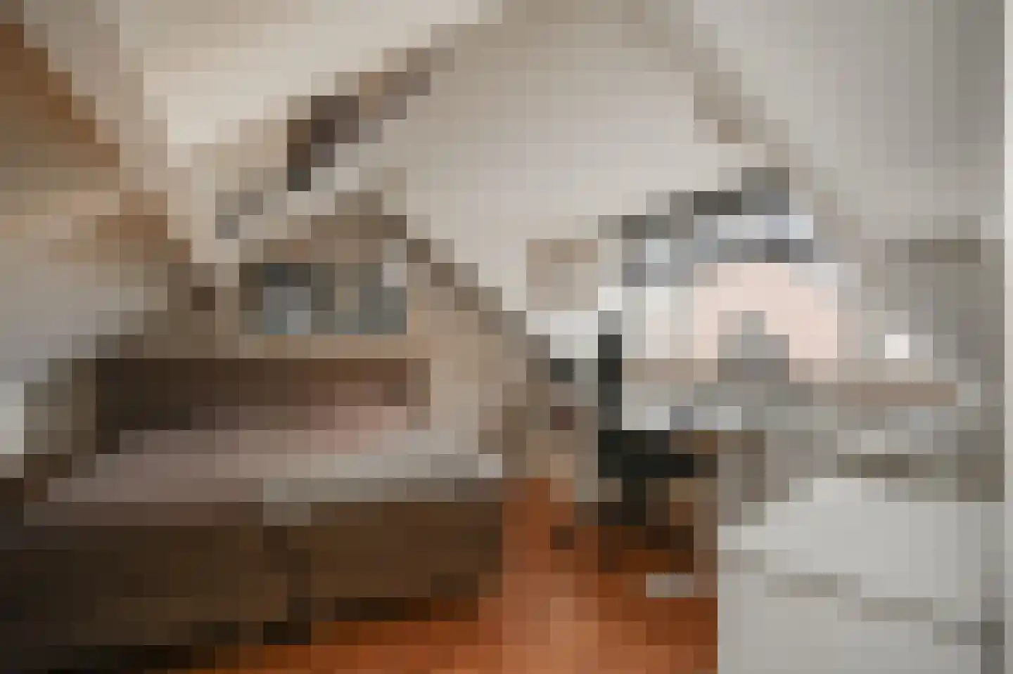 Donauring 1 Drunen thumbnail 26