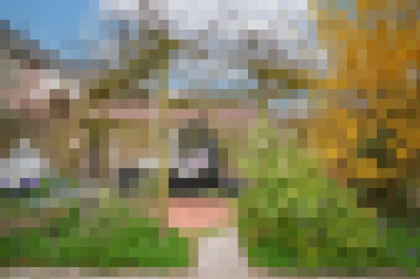 Donauring 1 Drunen thumbnail 34