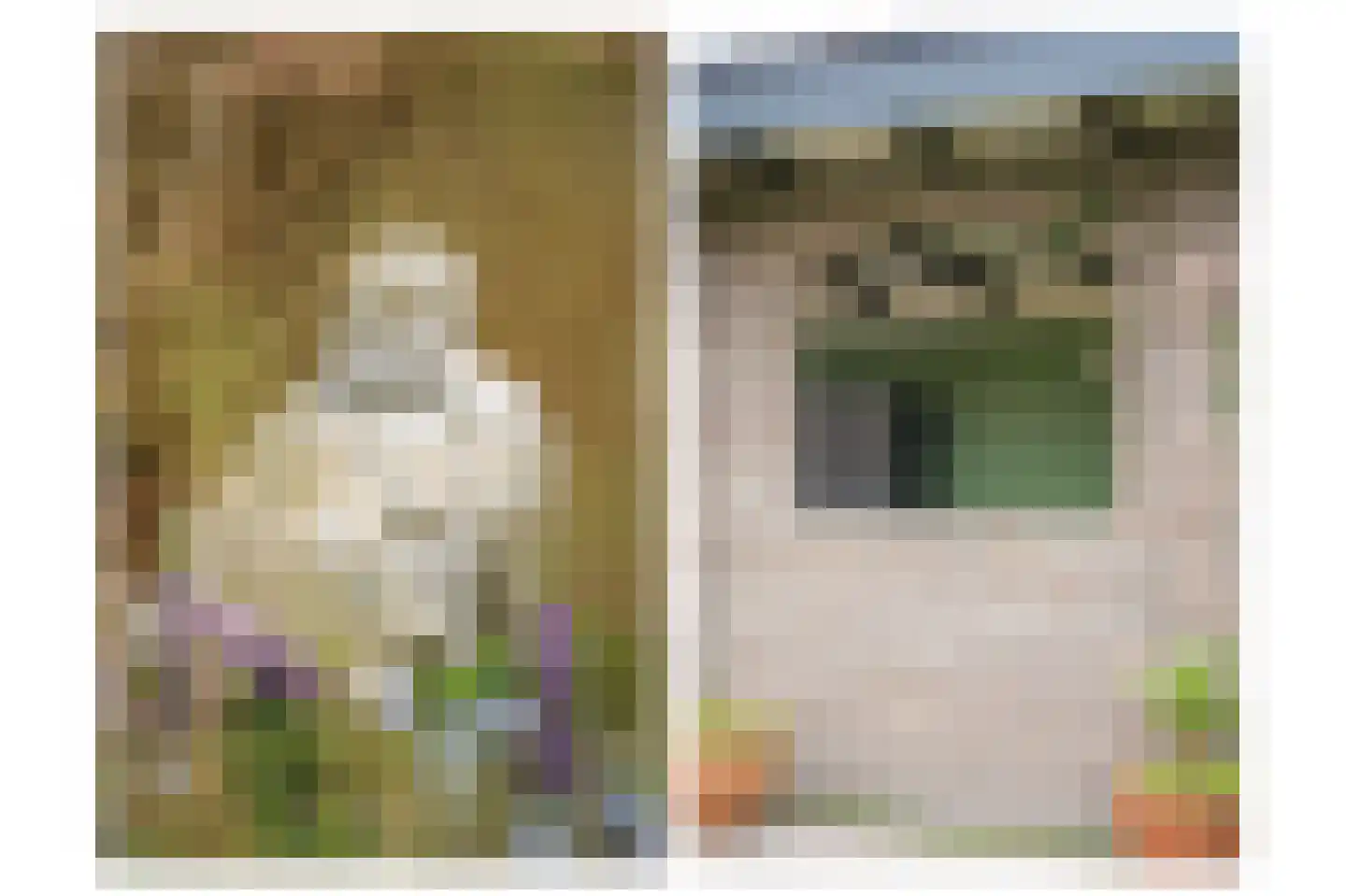 Donauring 1 Drunen thumbnail 35