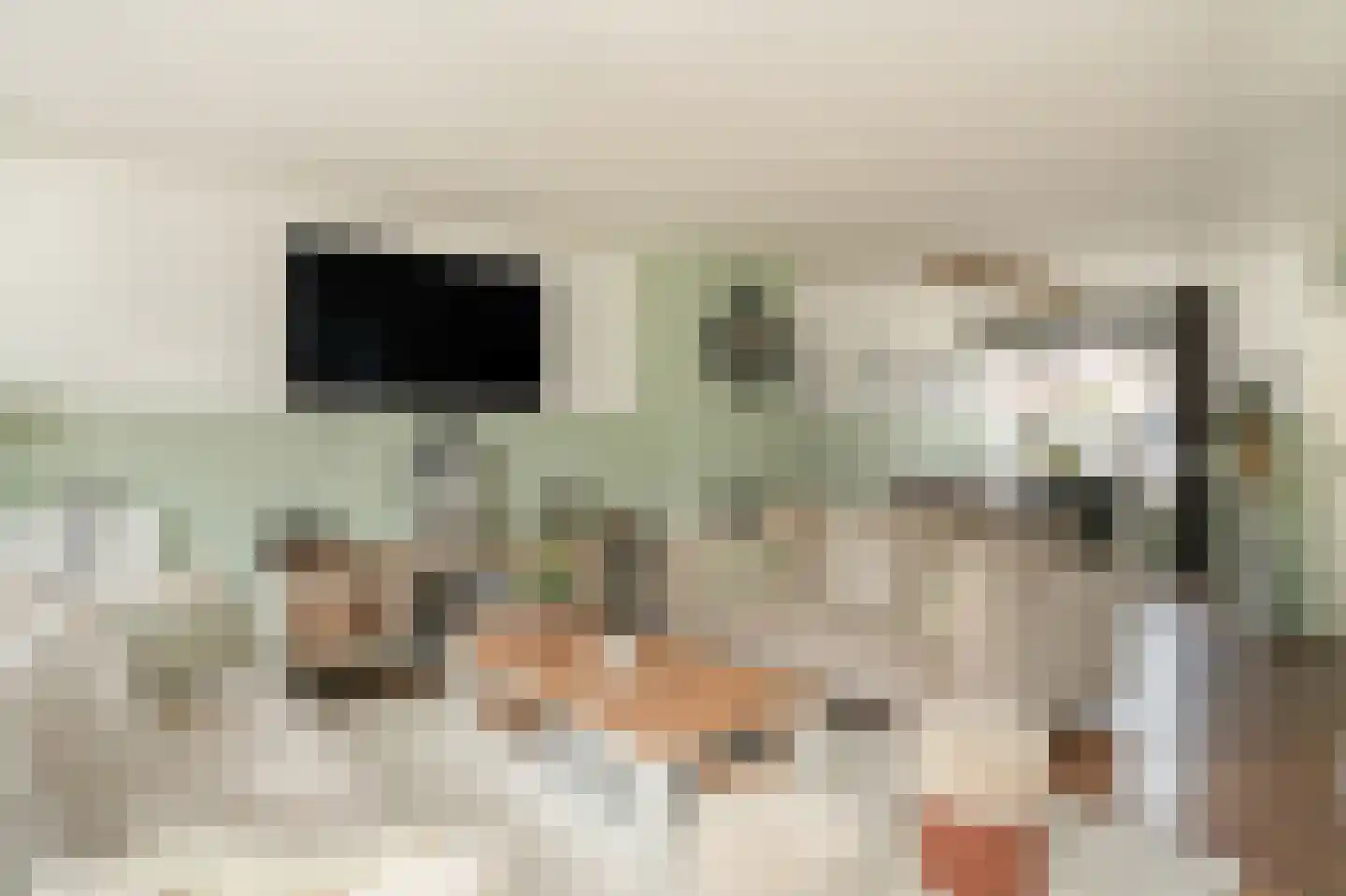 Donauring 1 Drunen thumbnail 4