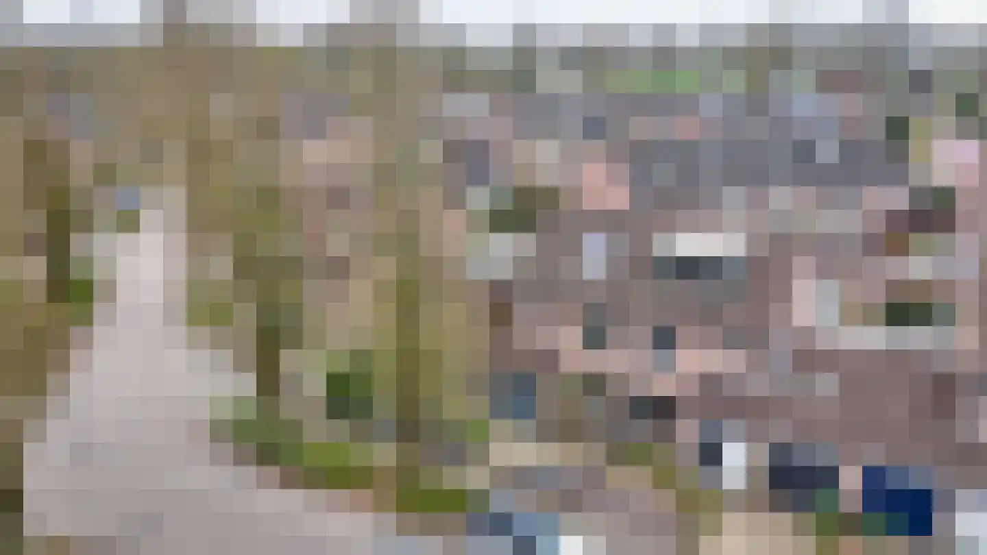 Donauring 1 Drunen thumbnail 43