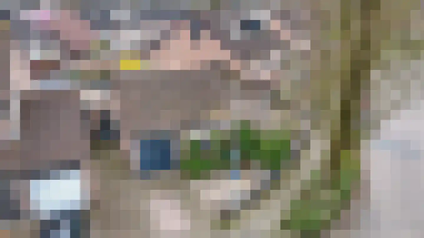Donauring 1 Drunen thumbnail 44