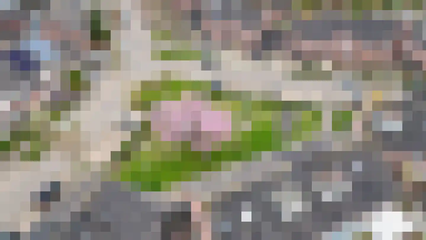 Donauring 1 Drunen thumbnail 45