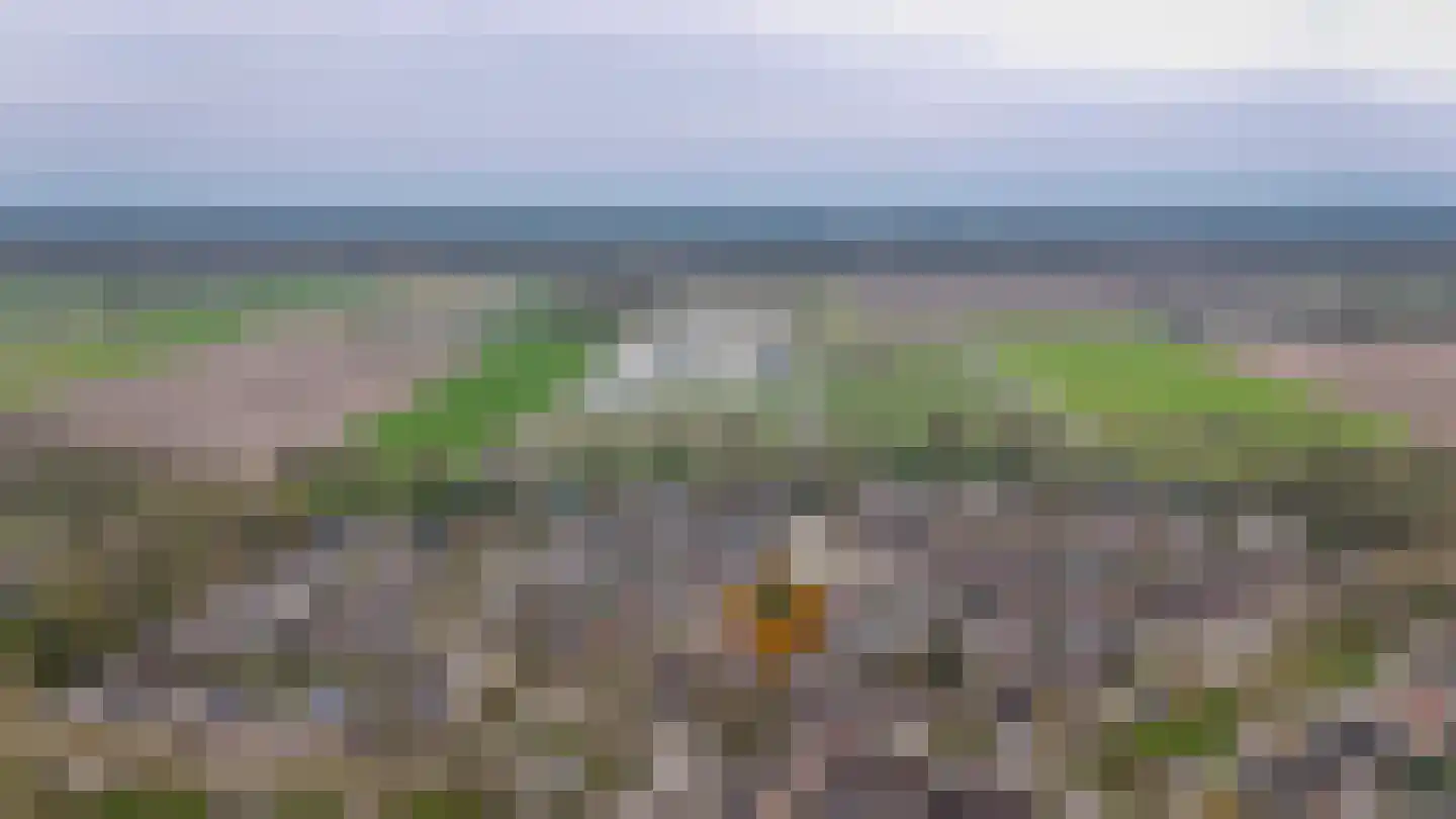 Donauring 1 Drunen thumbnail 47