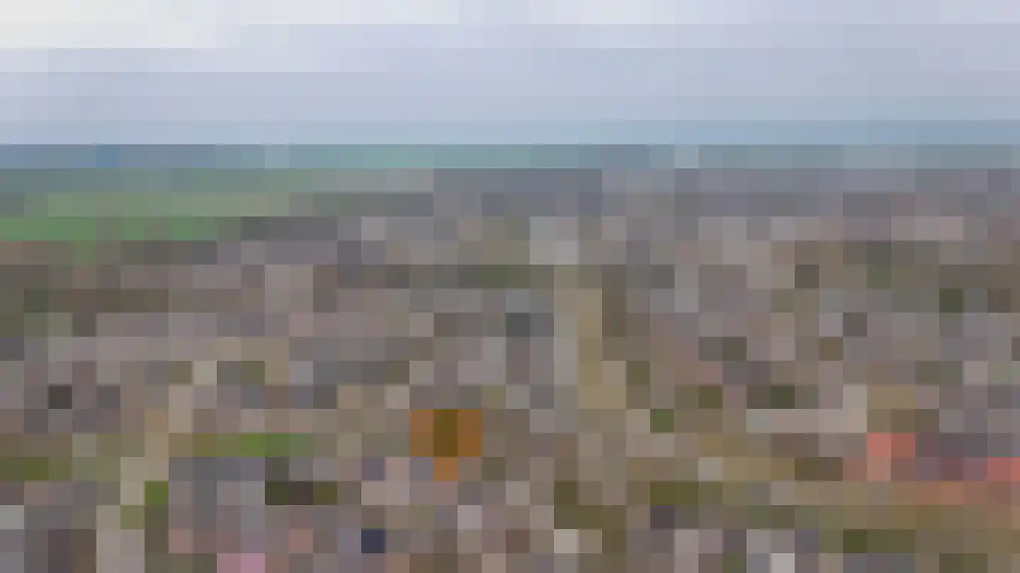 Donauring 1 Drunen thumbnail 48