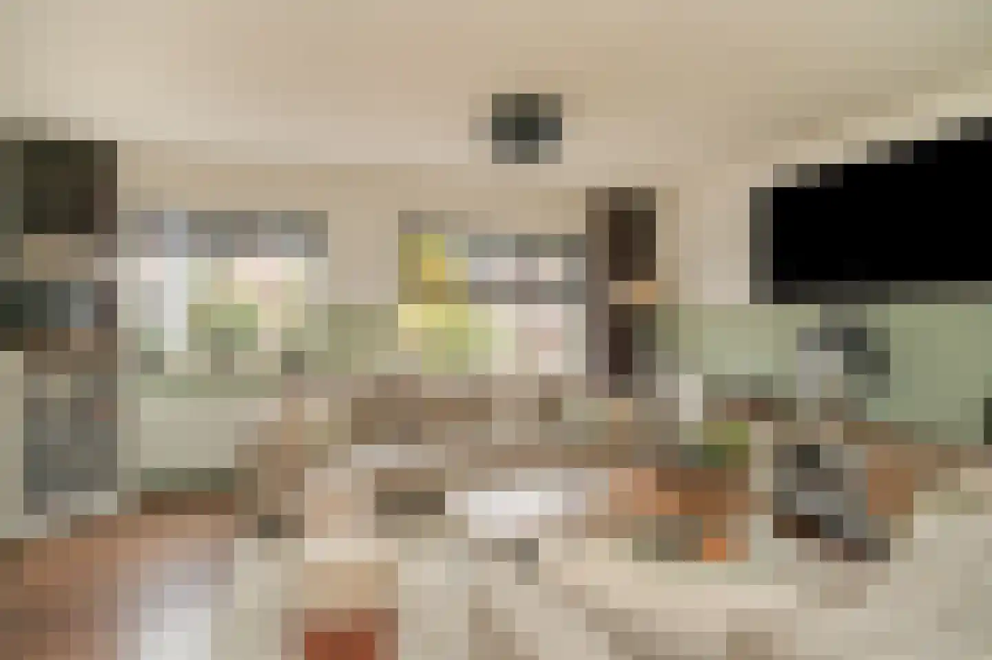 Donauring 1 Drunen thumbnail 6