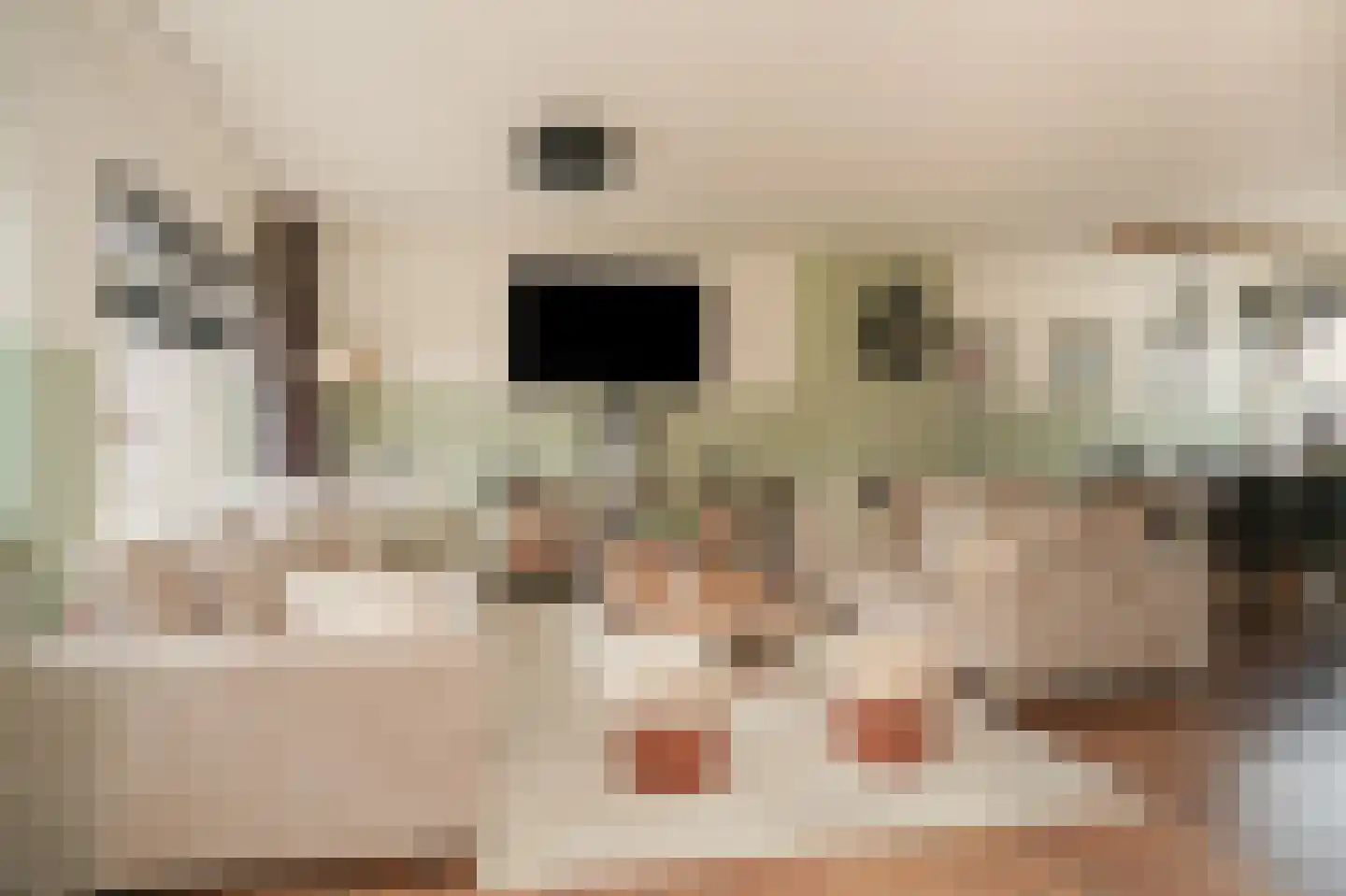 Donauring 1 Drunen thumbnail 7
