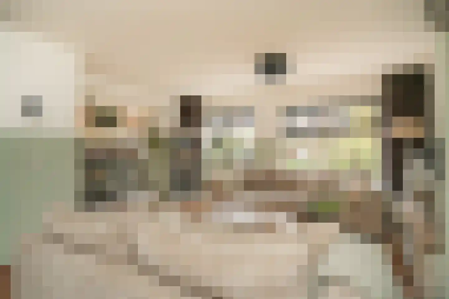 Donauring 1 Drunen thumbnail 8