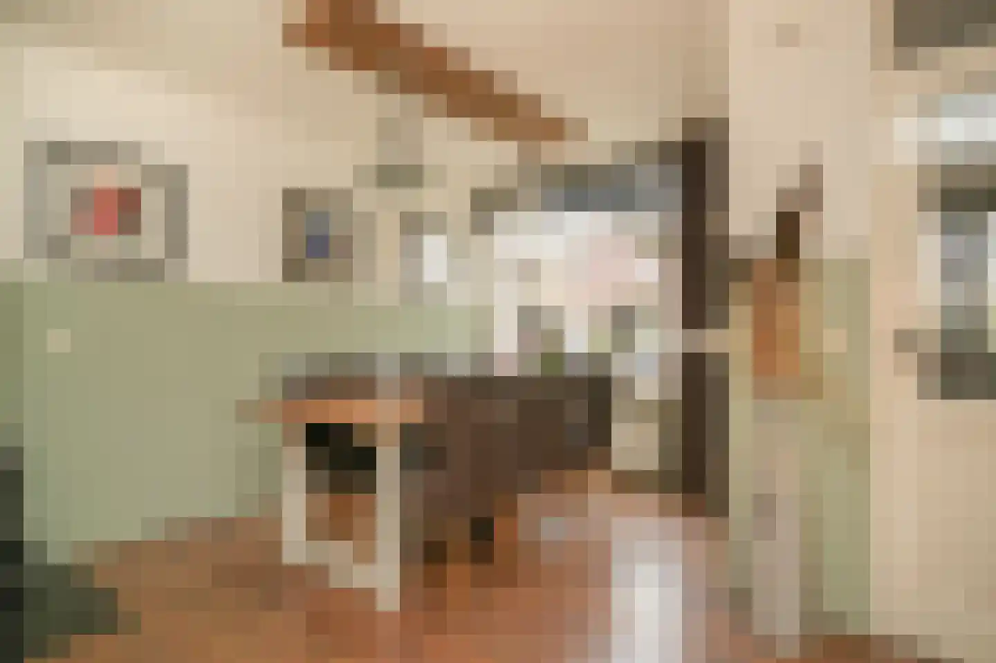 Donauring 1 Drunen thumbnail 9