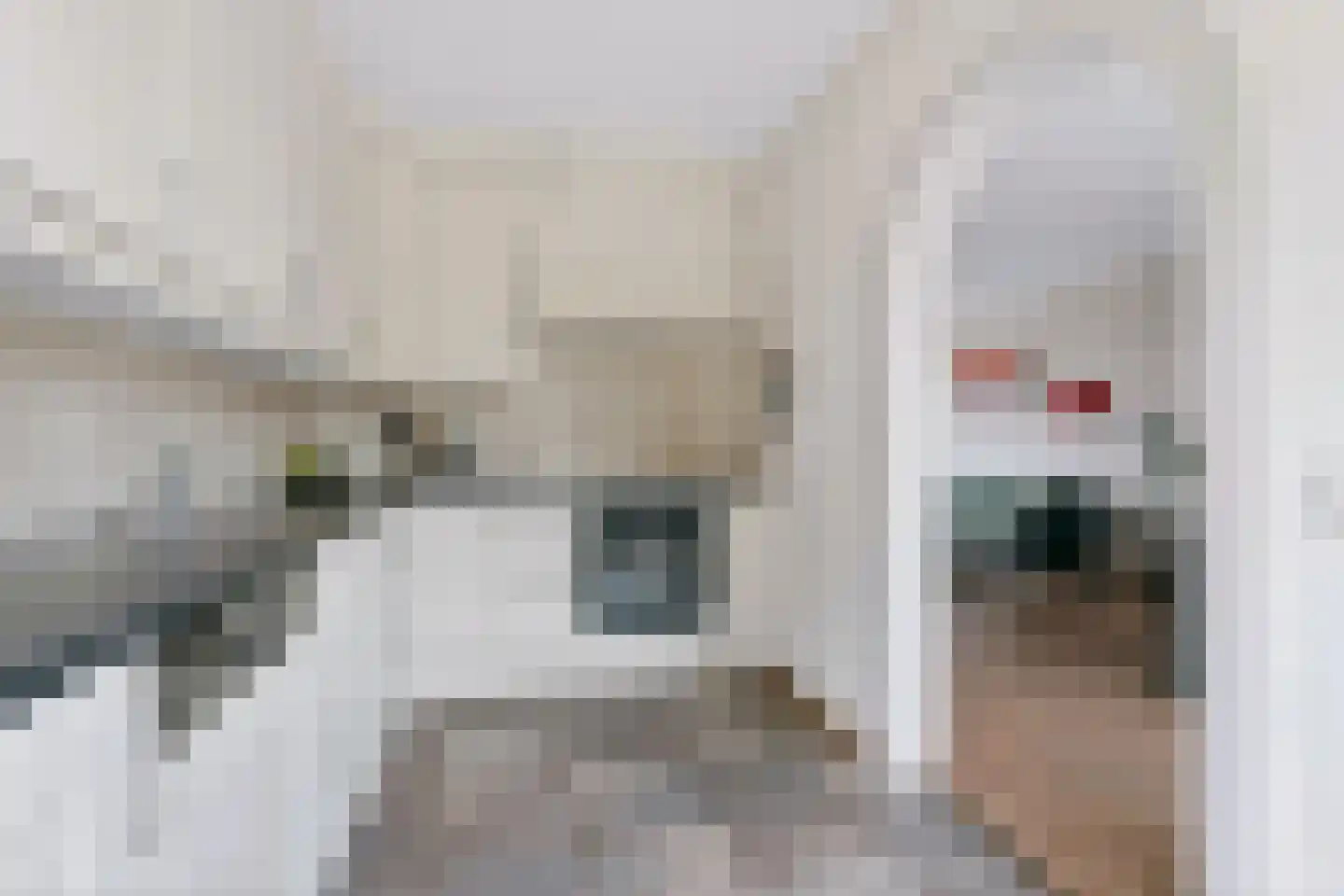 Donauring 10 Veghel thumbnail 13