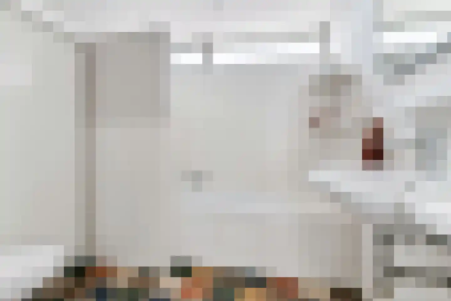 Donauring 10 Veghel thumbnail 23
