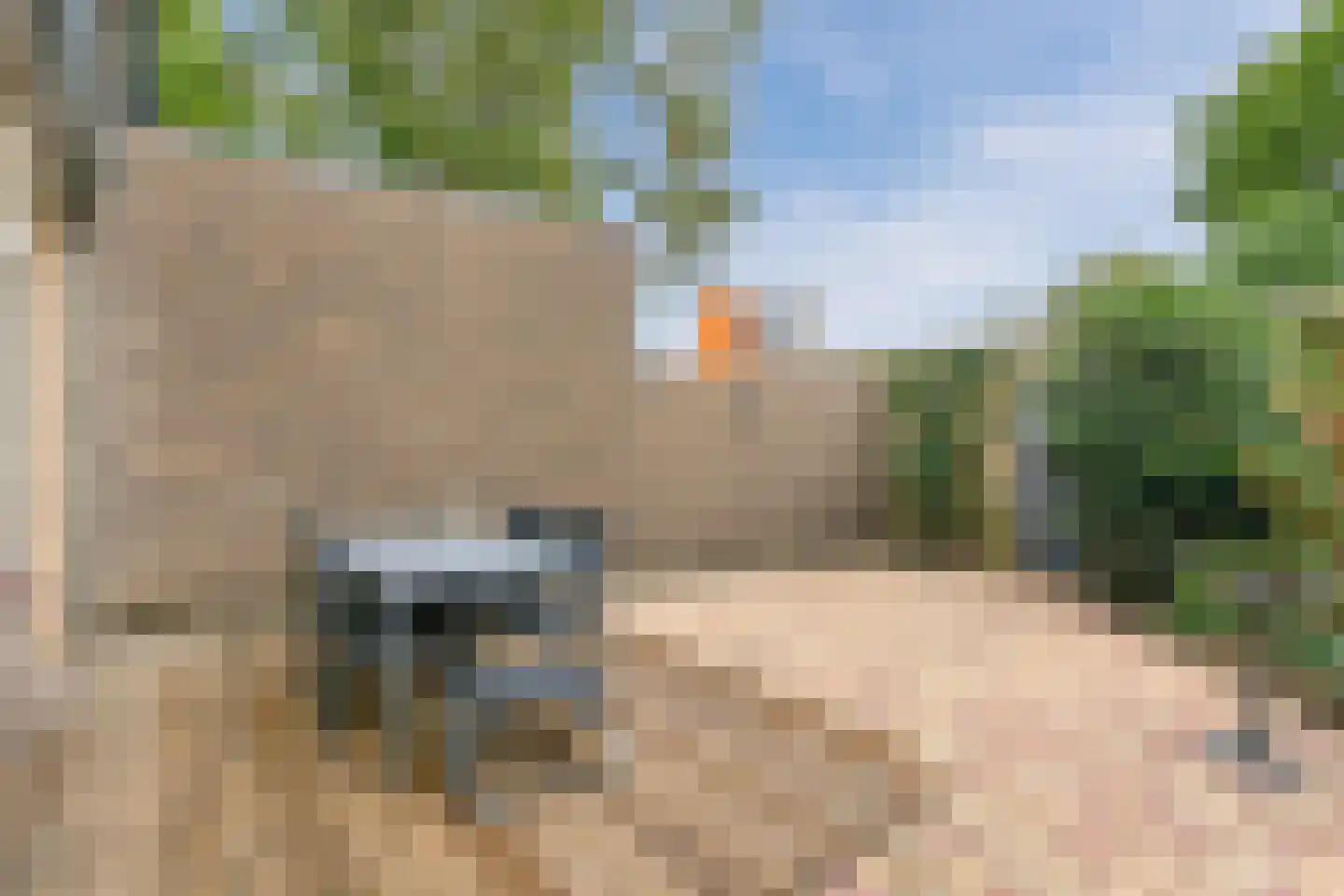 Donauring 10 Veghel thumbnail 31
