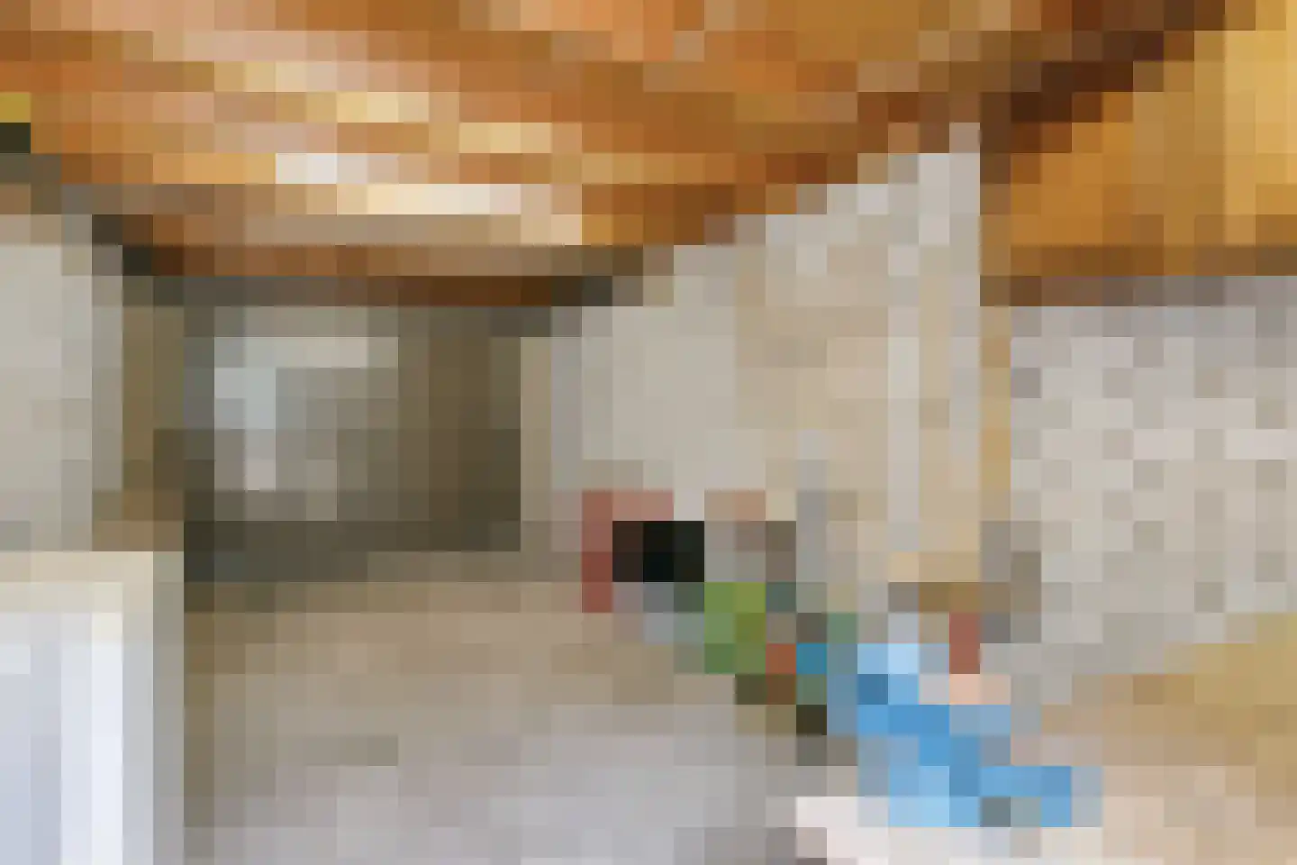 Donauring 10 Veghel thumbnail 33