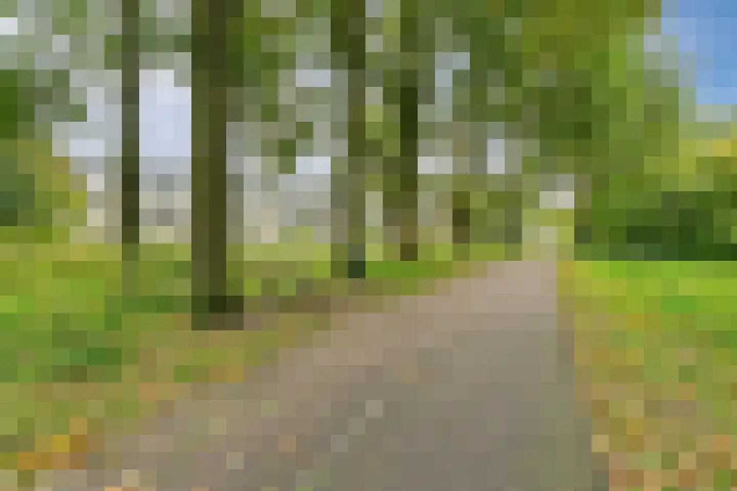 Donauring 10 Veghel thumbnail 38